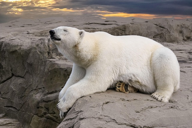Regionale klimaforandringer gennem året og planlægning